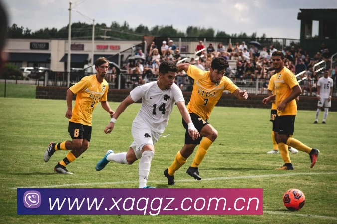 乐动网页版登入界面 - 乐动(中国)平台生态图